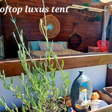 Dream Tiny House Or Luxus Tent With Pool Hébergement de vacances