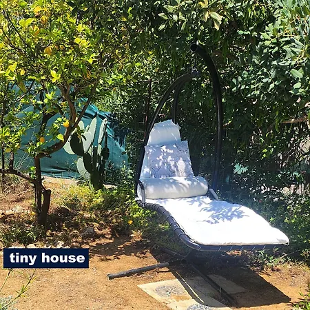Hébergement de vacances Dream Tiny House Or Luxus Tent With Pool *