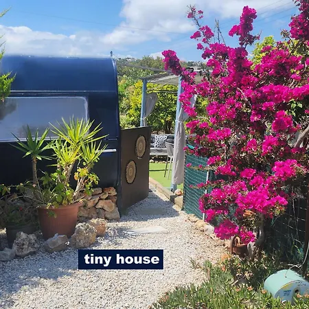 Dream Tiny House Or Luxus Tent With Pool Hébergement de vacances